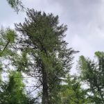 Marten Creek Campground