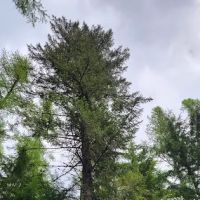 Marten Creek Campground ico