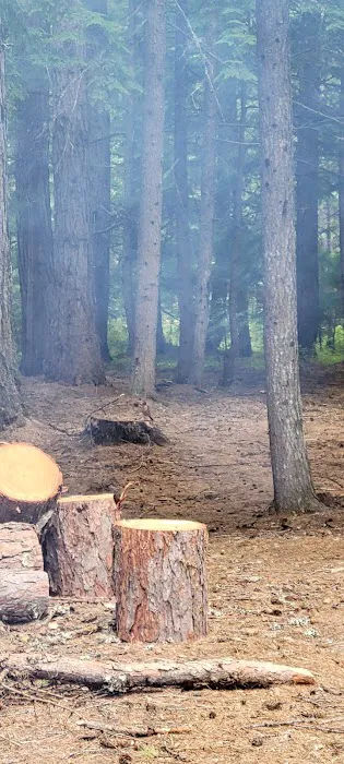 Marten Creek Campground Picture 3