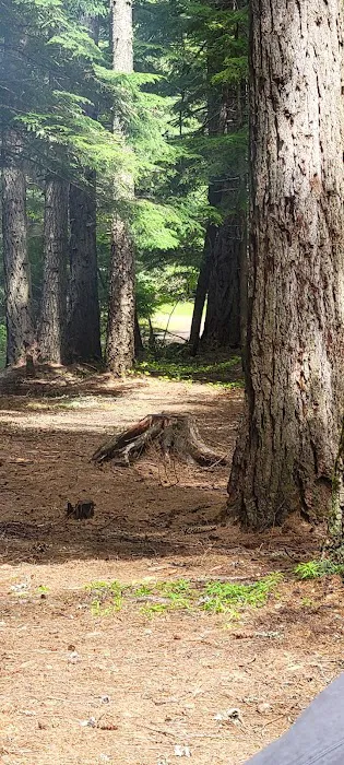 Marten Creek Campground Picture 5