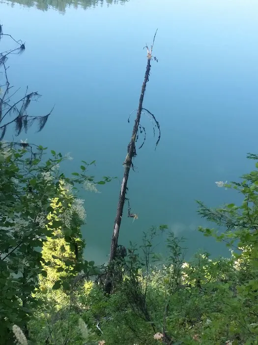 Marten Creek Campground Picture 9