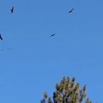 Two Rivers RV Park & Campground