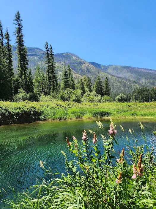 Bull River Campground, Kootenai National Forest Picture 1