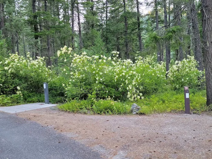 Bull River Campground, Kootenai National Forest Picture 7