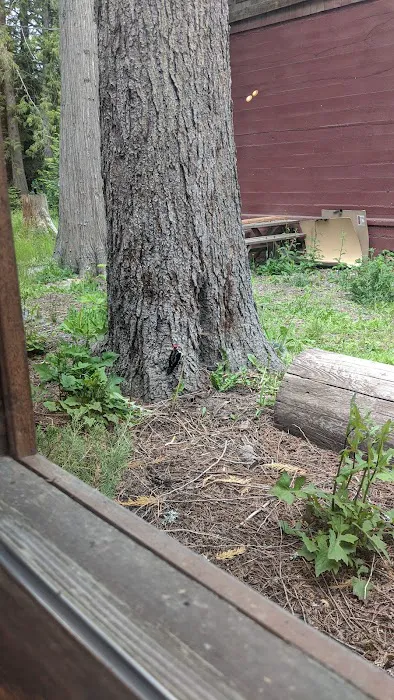 Hereford Restaurant Campground Picture 8