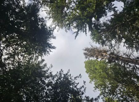 Hereford Restaurant Campground