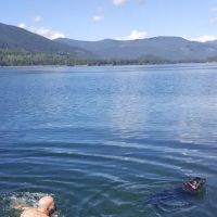 Trout Creek Campground ico
