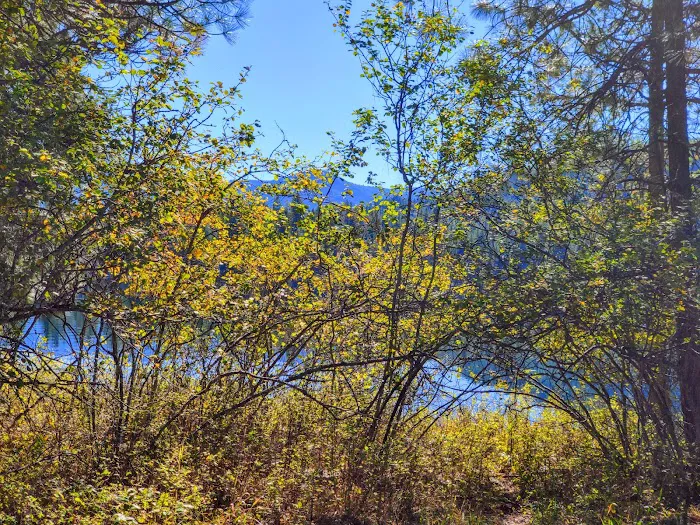 Trout Creek Campground Picture 7