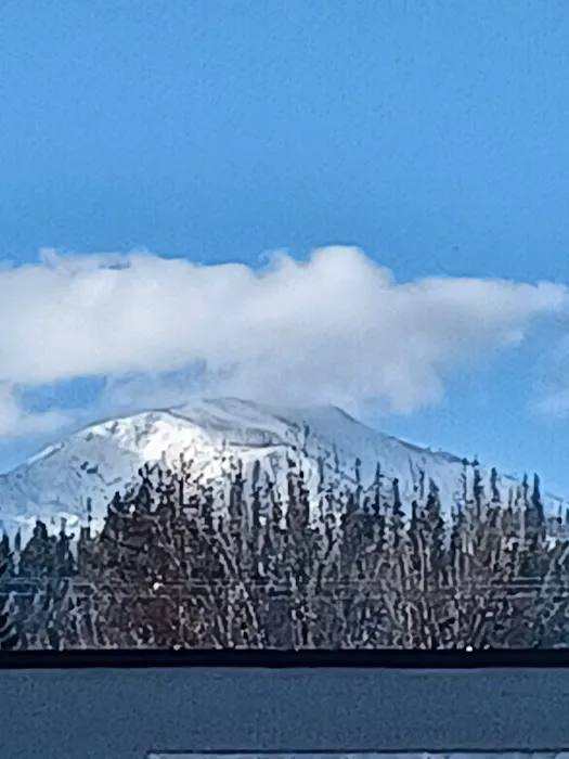 Firemans Park Campground Picture 7