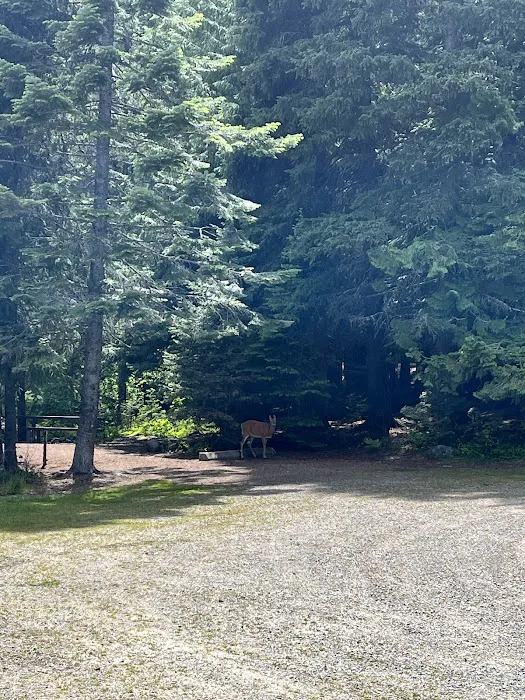 Howard Lake Campground Picture 9