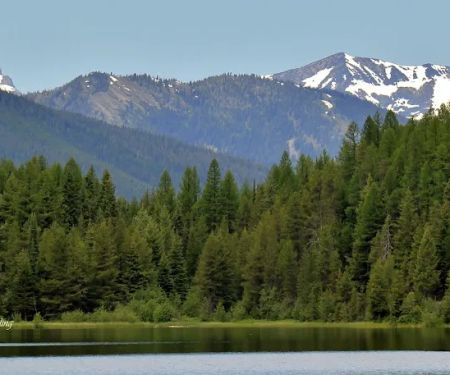 Howard Lake Campground