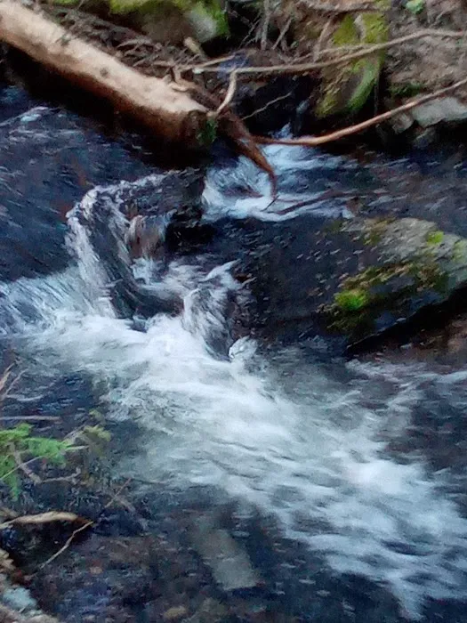 Kilbrennan Lake Campground Picture 9
