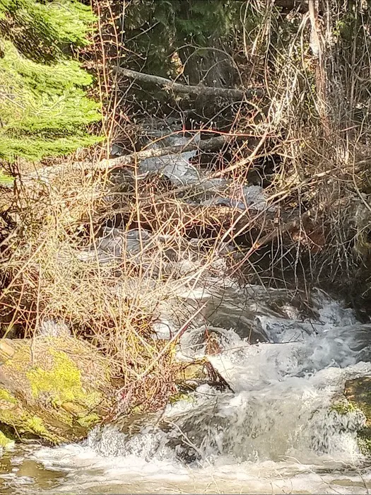 Kilbrennan Lake Campground Picture 4