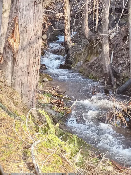 Kilbrennan Lake Campground Picture 3