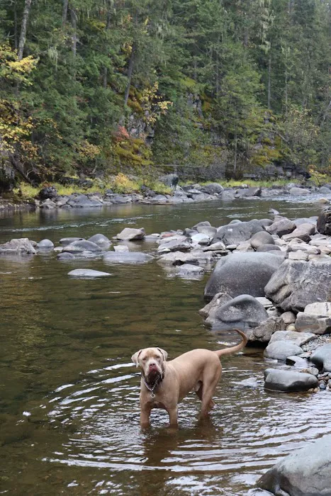 Yaak Falls Campground Picture 3