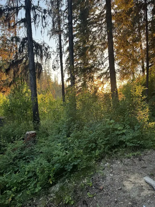 Loon Lake Campground Picture 8
