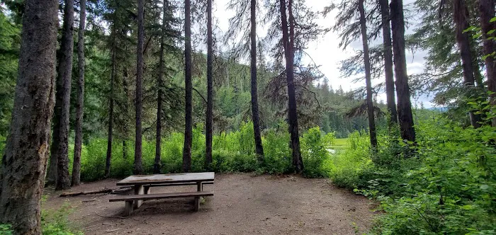 Loon Lake Campground Picture 5