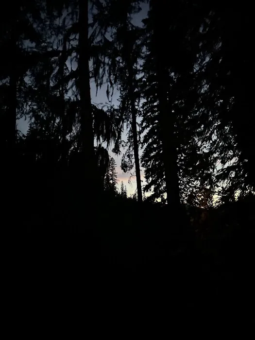 Loon Lake Campground Picture 4