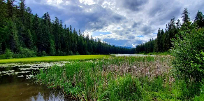 Loon Lake Campground Picture 2