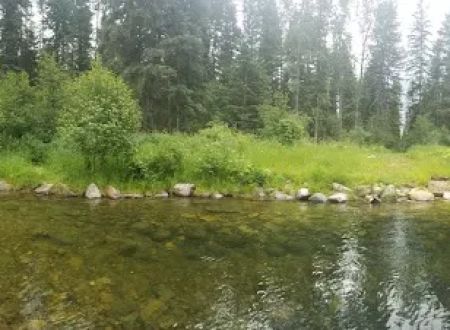 Timberlane Campground