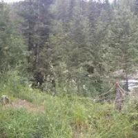 Squaw Creek Campground ico
