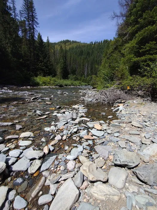 Telichpah Campground Picture 10