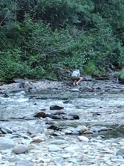 Telichpah Campground Picture 8