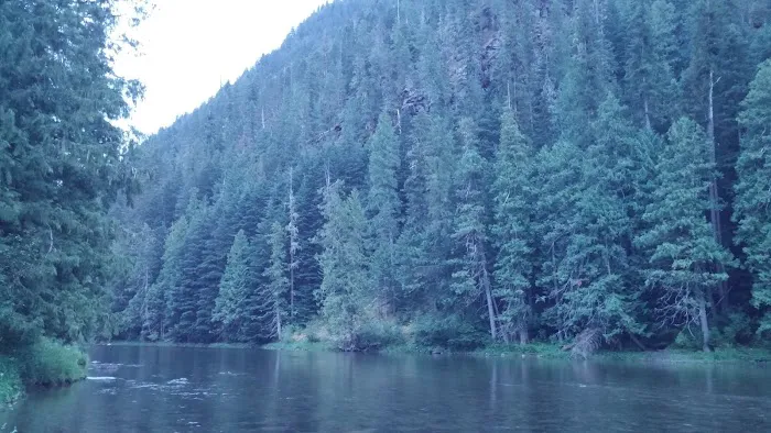 Packsaddle Campground Picture 8
