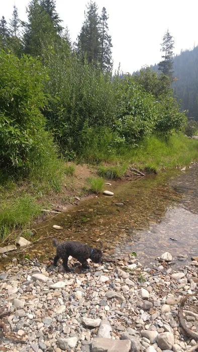 Turner Flat Campground Picture 4