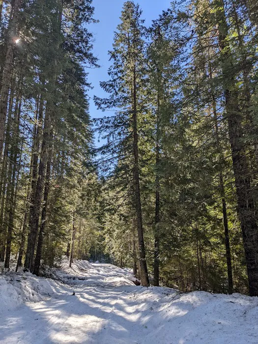 Elk Creek Campground Picture 4