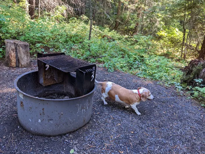 Elk Creek Campground Picture 8