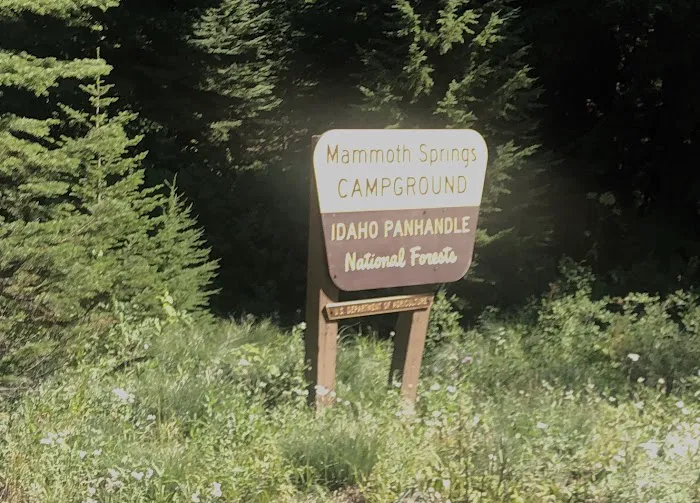 Mammoth Springs Campground Picture 5