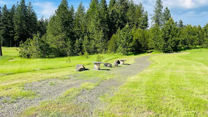 BIG BEAR RV CAMPGROUND Picture 2