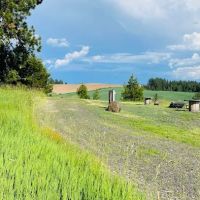 BIG BEAR RV CAMPGROUND ico