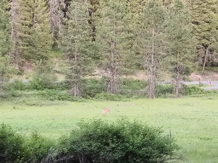 Little Boulder Campground Picture 5