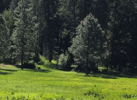 Little Boulder Campground