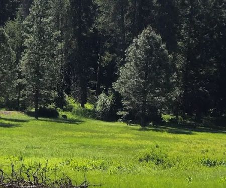 Little Boulder Campground