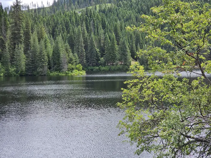 Whispering Pines RV Park Picture 3