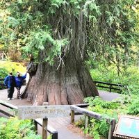 Whispering Pines RV Park ico