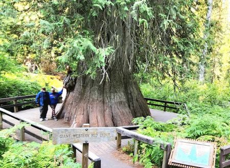 Whispering Pines RV Park