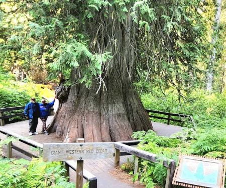 Whispering Pines RV Park