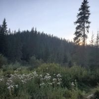 Partridge Creek Campground ico