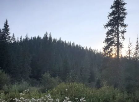 Partridge Creek Campground