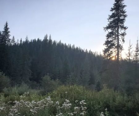 Partridge Creek Campground