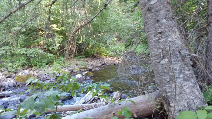 Pete Creek Campground Picture 6
