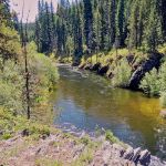 Pete Creek Campground
