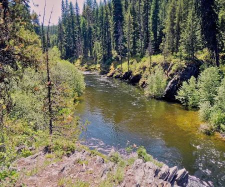 Pete Creek Campground
