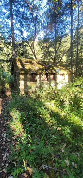 Patrick Creek Campground Picture 2