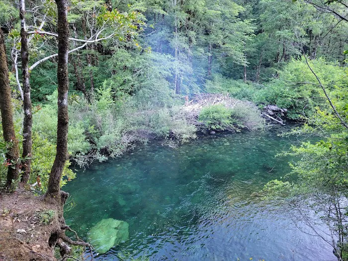 Patrick Creek Campground Picture 4