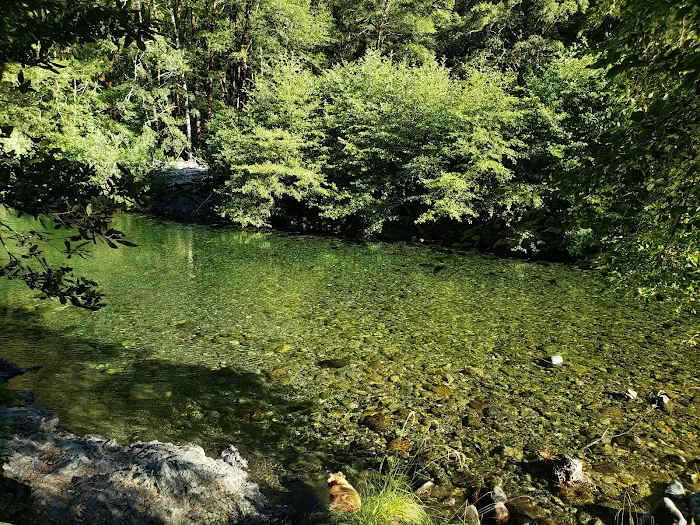 Patrick Creek Campground Picture 6